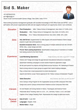 Resume Template Thumbnail