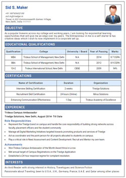 Resume Template Thumbnail