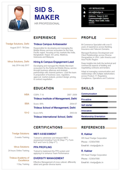 Resume Template Thumbnail