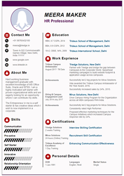 Resume Template Thumbnail